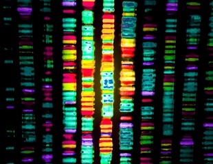 Cyber Vulnerabilities in Next-Gen DNA Sequencing