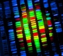 Earth BioGenome Project Aims to Build a Digital Library of All Life