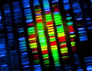 AGD Initiative Drives Progress in Drug Discovery with Sequencing of 250,000 Whole Genomes
