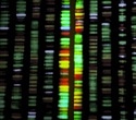 Earth BioGenome Project Aims to Build a Digital Library of All Life