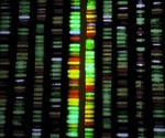 Cyber Vulnerabilities in Next-Gen DNA Sequencing