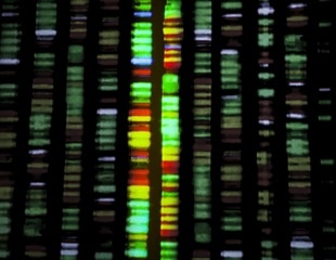 AGD Initiative Drives Progress in Drug Discovery with Sequencing of 250,000 Whole Genomes