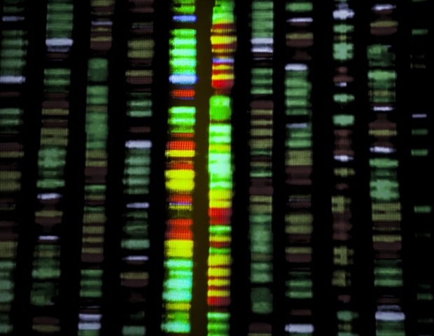 Machine Learning Tool Pinpoints Crucial Gene Regulation Changes