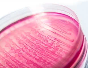 New Method Encapsulates Large Biomolecules into Exosomes in Few Minutes