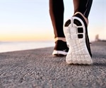 Study Reveals Muscle Memory at the Protein Level