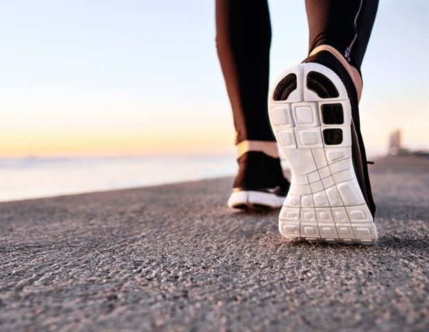 New Frontier in Combating Musculoskeletal Aging Through Exercise
