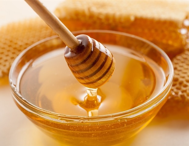 New Study Shows Larval Honey Bees Rely Entirely on Taste Rather Than Olfaction