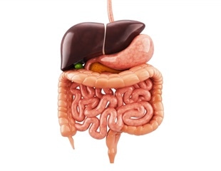 Innovative Computational Tool Analyzes Gut Microbiome for Early Health Insights
