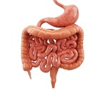 Innovative Computational Tool Analyzes Gut Microbiome for Early Health Insights
