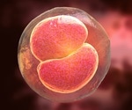 Small Hatching Embryo may Improve the Chances of IVF Success