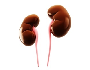 Genetic Analysis Unveils Underlying Causes of Chronic Kidney Disease
