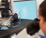 Many mosaic embryos discarded for IVF treatment may lead to successful pregnancies
