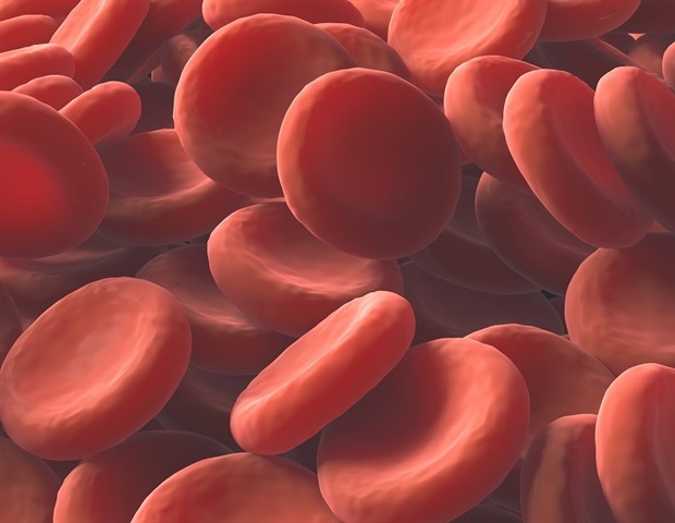 Lifeblood, UQ and SMART CRC Pump New Life Into Lab-Grown Blood Production