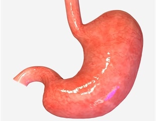 Scientists to develop virtual reality simulator to improve training on hiatal hernia surgery