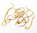 Prime Editing Generates Genomic Ticker Tapes Tracing Millions of Developing Cells