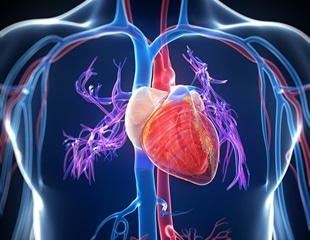 Biological Glue Provides Clues About Cardiovascular Diseases