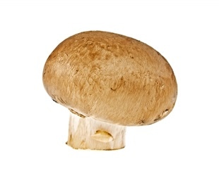 Synthesizing Inaoside A from Edible Mushroom