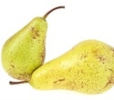 RNA-Based Molecular Switch Enhances Disease Resistance in Pears