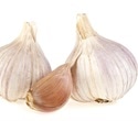 Integrative Genomic Approaches Reveal Mechanisms of Garlic Storability