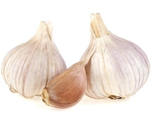 Integrative Genomic Approaches Reveal Mechanisms of Garlic Storability