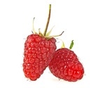 Black raspberries may reduce skin inflammation associated with allergies, mouse study shows