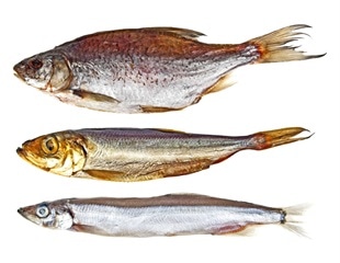 Flipped DNA Segments Help Fish Rapidly Evolve into New Species
