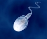 New delivery system may treat male infertility