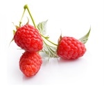 Black raspberries may reduce skin inflammation associated with allergies, mouse study shows