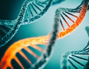 Genetic Link to Persistent HPV Infections Identified