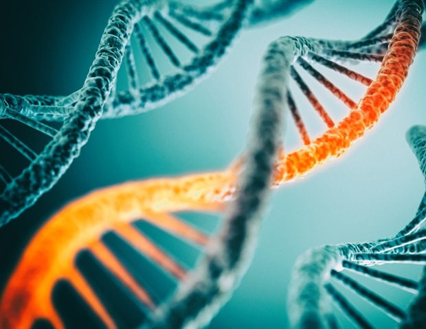 Researchers Decipher the Rules Behind Cellular Quality Control In Humans