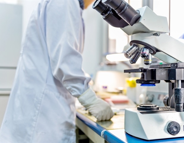 Research Reveals Transcriptional Mechanism Behind Salt Tolerance in Watermelon