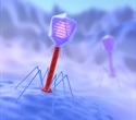 Phage Engineering: Characterizing Bacteriophages for Medical and Agricultural Applications