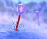 Phage-Derived Endolysin Offers Targeted Treatment for Dysbiosis-Driven Acute GVHD