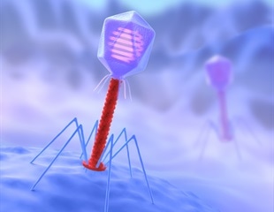 Phage Engineering: Characterizing Bacteriophages for Medical and Agricultural Applications