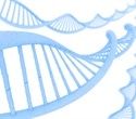 Genomic-First Approach Offers Potential for Earlier Diagnosis of Rare Disorders