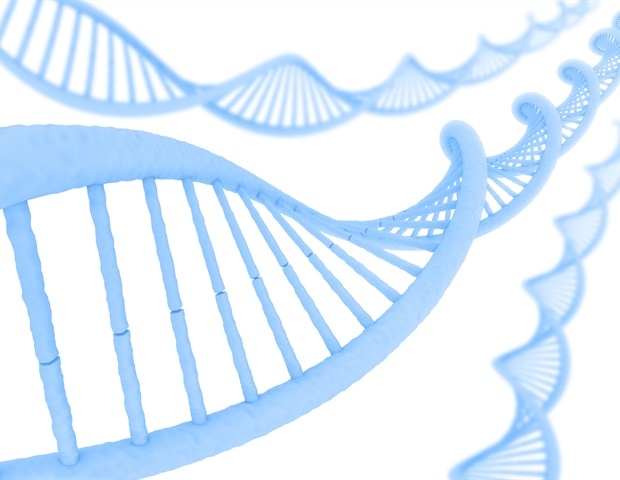 Researchers Decipher the Rules Behind Cellular Quality Control In Humans