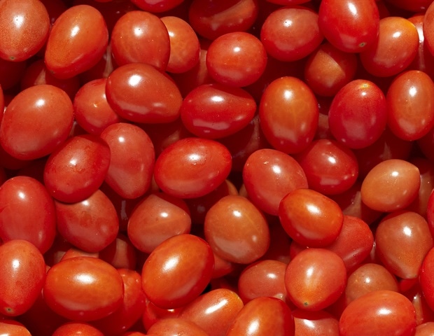 Base-Pair Resolution Benchmark Uncovers Structural Variation Complexity in Tomato Genomes