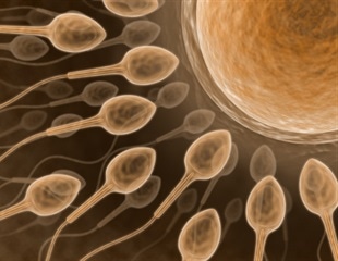 Human Urine Recycling Promotes Agricultural Sustainability