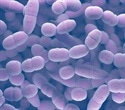 Genomic Tool TRACS Improves Tracking of Microbial Transmission Patterns