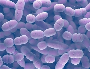 Genomic Tool TRACS Improves Tracking of Microbial Transmission Patterns