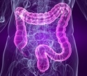 Study Reveals Microbiota Control of Intestinal Cell Plasticity