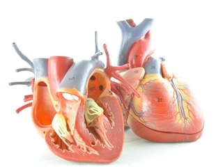 Beta blockers can increase risk of heart failure in women more than men
