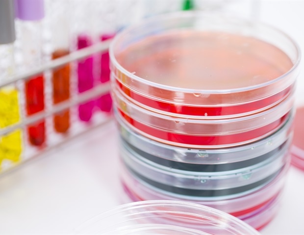 Synthetic Biology Unlocks New Ways to Engineer Plant–Microbe Interactions