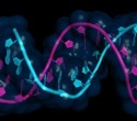 Cryo-EM Study Unlocks Structural Secrets of RNA Therapeutics