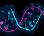 Discovery of ALAS1's Secret Role Could Boost Cancer Therapy Development