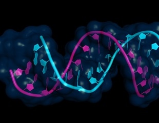 Discovery of ALAS1's Secret Role Could Boost Cancer Therapy Development