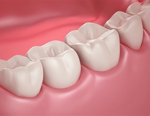 Scientists Develop Non-Destructive Method to Study Fish Teeth