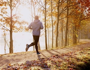 Biological Bulldozer Mechanism Explains Ants’ Powerful Sense of Smell