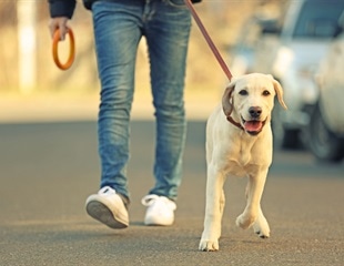 Access to nature increases people's physical activity and their overall health