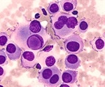 New Insights into How B Cells Strategically Clone High-Affinity Antibodies